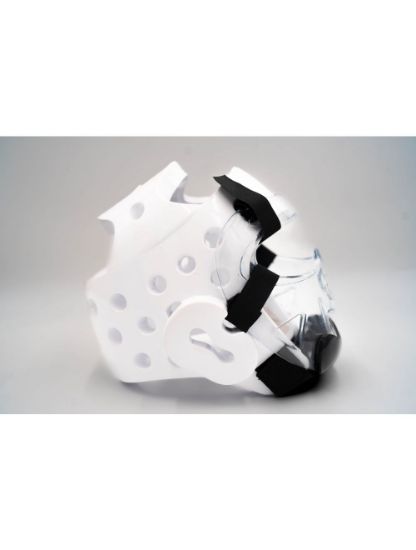 Picture of Face Shield