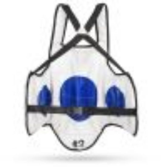 Picture of HUGO CHEST GUARD