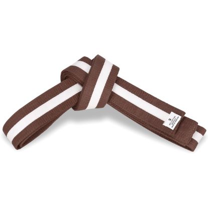 Picture of BROWN BELT WITH COLORS STRIPES