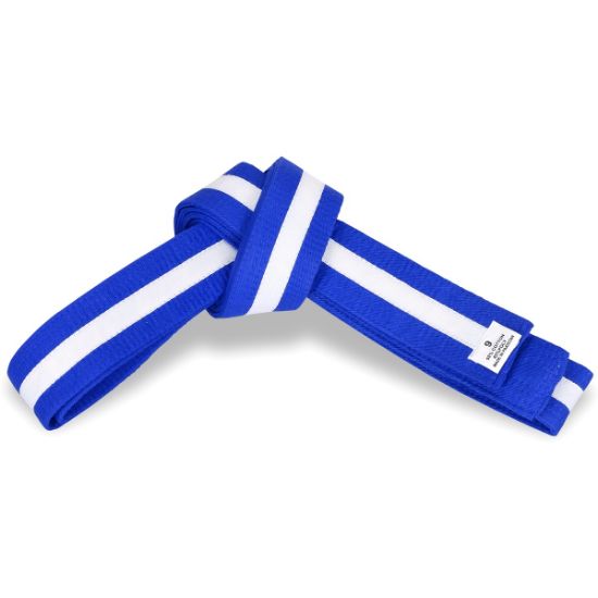 Picture of BLUE BELT WITH COLORS STRIPE