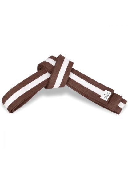 Picture of BROWN BELT WITH COLORS STRIPES